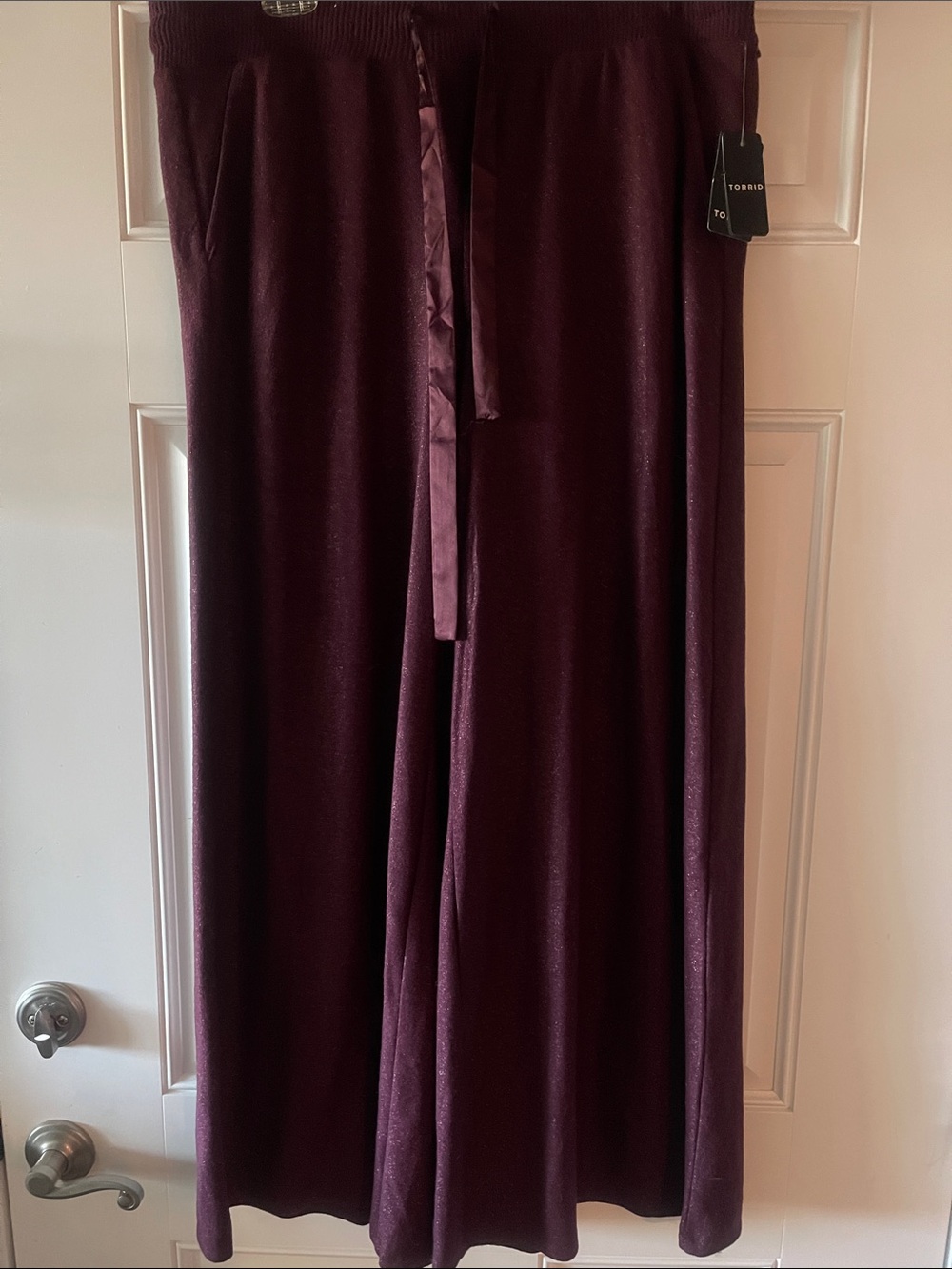 torrid Deep Plum Velvet wide leg pants